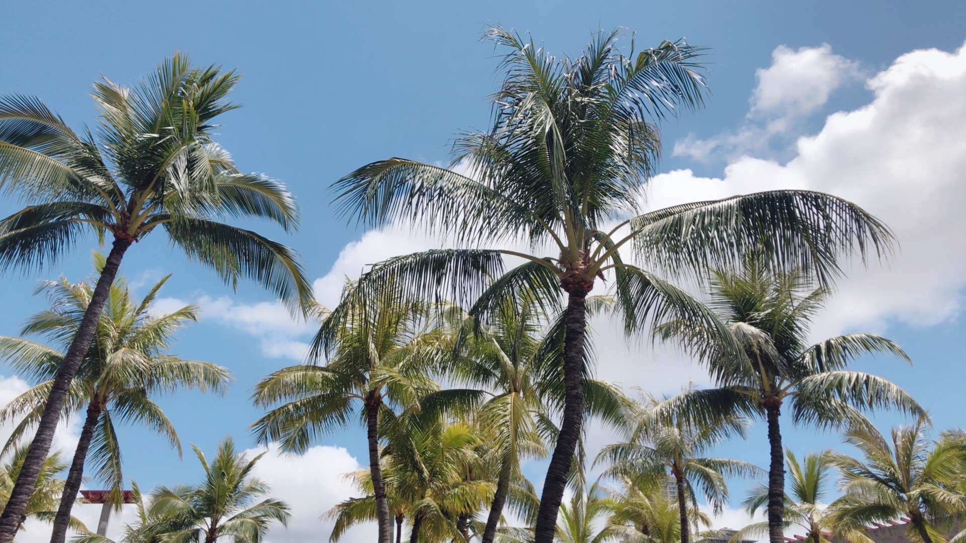 　　　　　　【　夏季休業のお知らせ　】